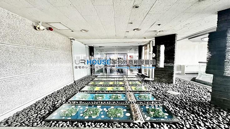 messageImage_1740367399878.jpg
