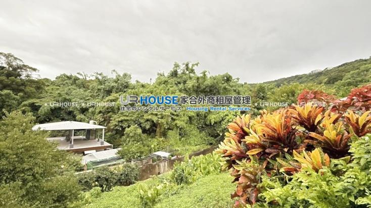 S__48119903_0.jpg