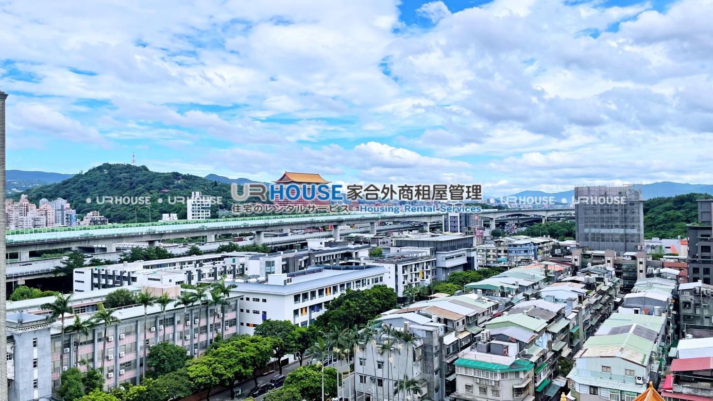 S__397017130_0.jpg