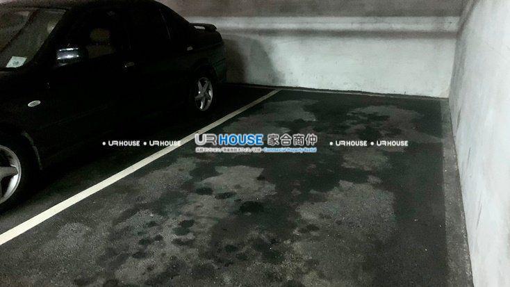 cecf3f17d2016b2d4072dd811493ee84-watermarked.jpg
